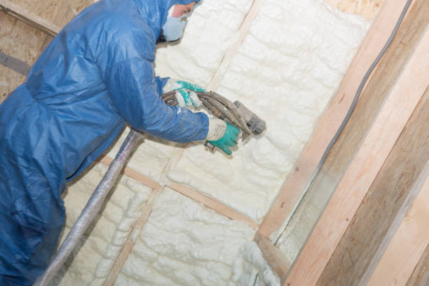 Best Wall Insulation Installation  in Edmore, MI