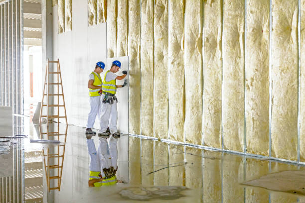 Best Insulation for Existing Homes  in Edmore, MI